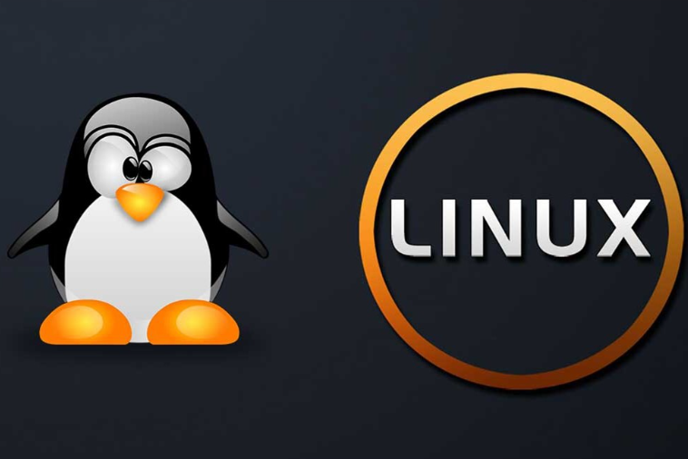 基于Linux开发的系统有哪些？
