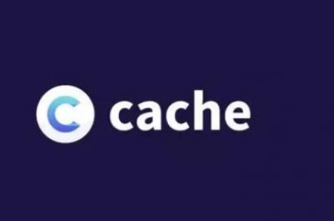 Cache：缓存，临时存储数据以加快访问速度