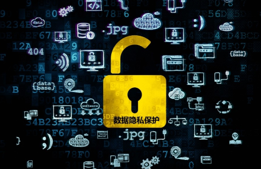 数据隐私保护（Data Privacy Protection）：确保用户信息安全与合规性