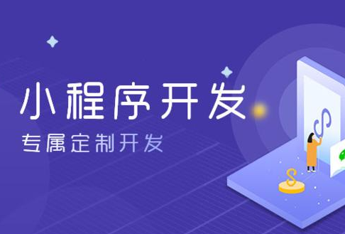 小程序开发公司能否提供定制化的开发服务？（专满足企业个性化需求与高效运营定制方案）
