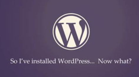 WordPress建站中的访问量追踪与分析：精准评估，驱动网站效果飞跃