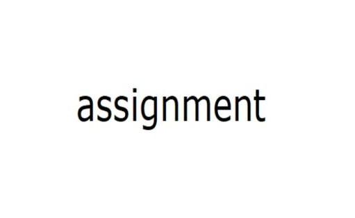 assignment(n.赋值)