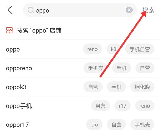 attempt(v.尝试)
